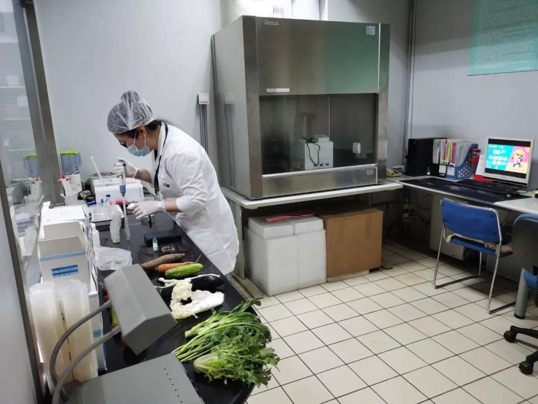 庐山食品检测实验室装修方案